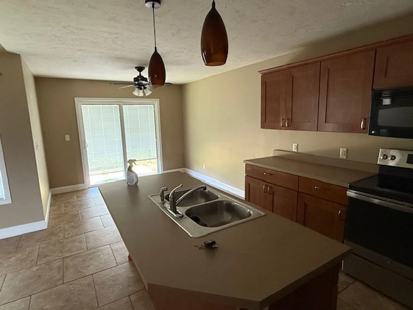 417 Dalhlia — Photo 3