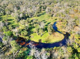 12550 Amber Ln #1, Lithia, FL 33547