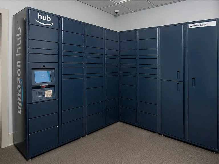 Amazon package hub