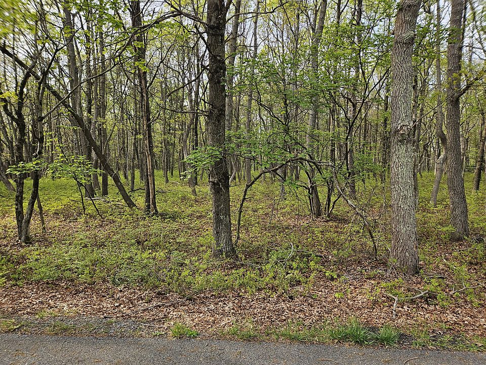 2nd image of Berry Ln