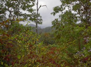 4 E Silvermine Rd, Bryson City, NC 28713