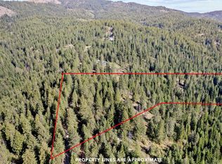 12703 S Alpine Fern Ln, Rockford, WA 99030