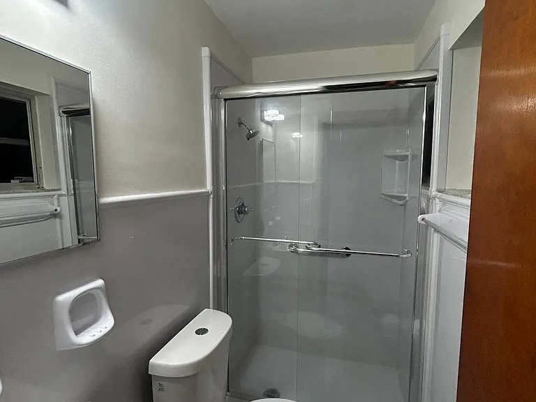 Master bath with step-in shower and handrail inside. New lighting, sink with cabinet and toilet.