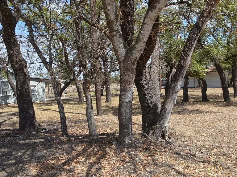 7601 FM 1690 — Photo 19
