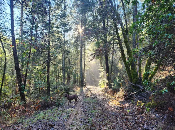 6296 Canyon Creek Rd, Georgetown, CA 95634