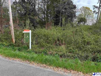 521 Harlington Cir, Hartsville, SC, 29550