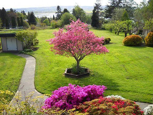 3rd image of 4630 83rd Ave SE