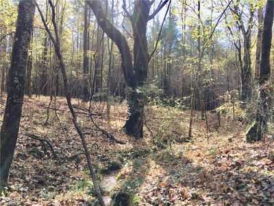 6.332 Ac Evans Rd, Mocksville, NC, 27028