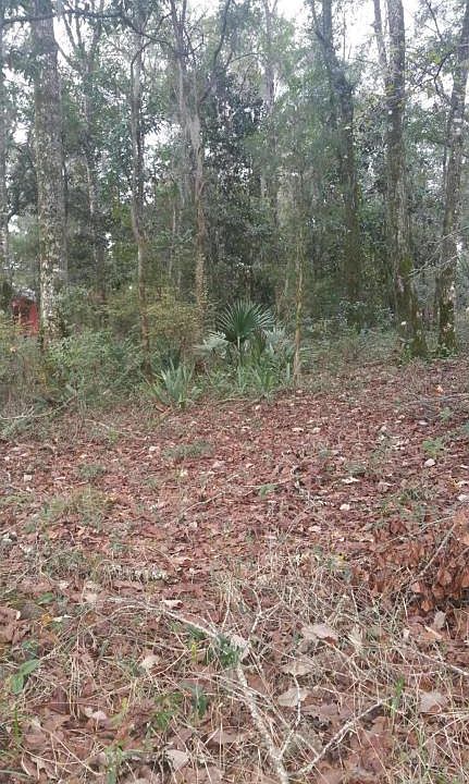 1st image of 287 Sweet Gum Cir