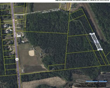 Highway 15 S, Manning, SC, 29102