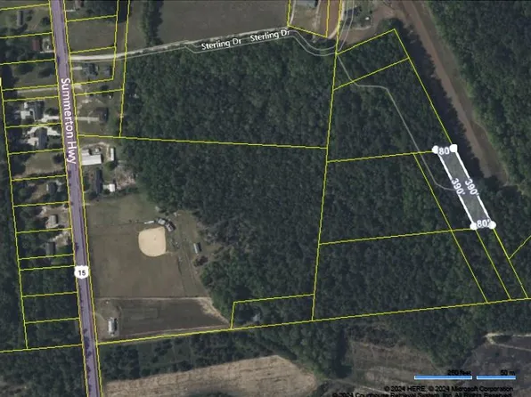 Highway 15 S, Manning, SC 29102