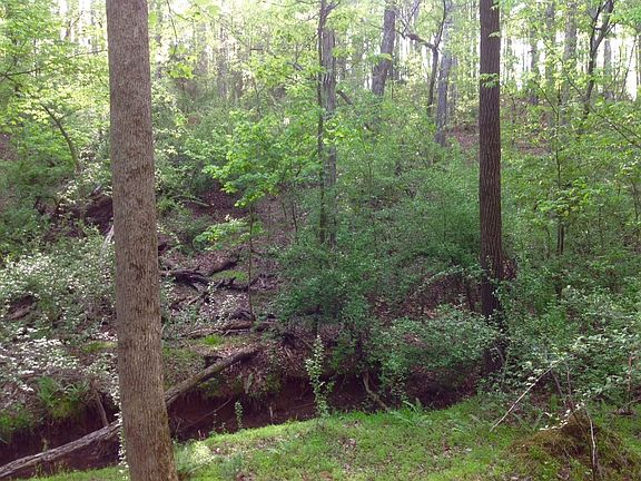 3rd image of 10825 Hermit Thrush Ln