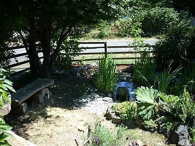 front yard w/pond 