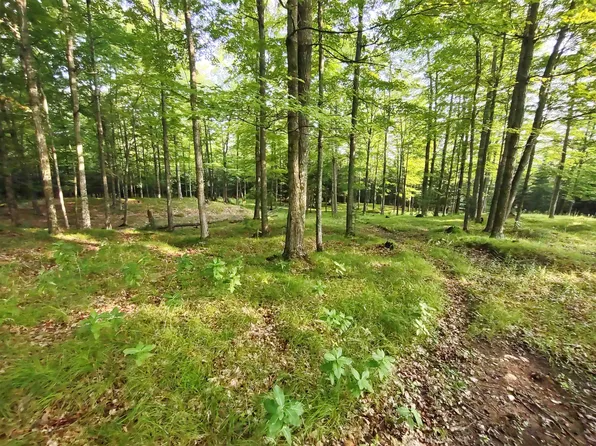 N11703 Lucke Ln, Daggett, MI 49821