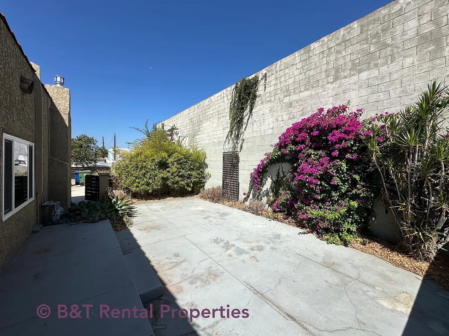 2 bed, 1000 sqft, $3,000 — Photo 3