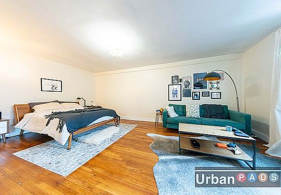 2nd image of 259 Clarkson Ave #210