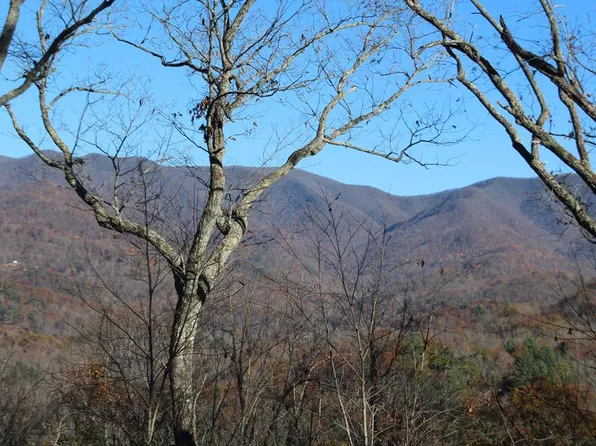 1 Gabriel Rdg, Hayesville, NC 28904