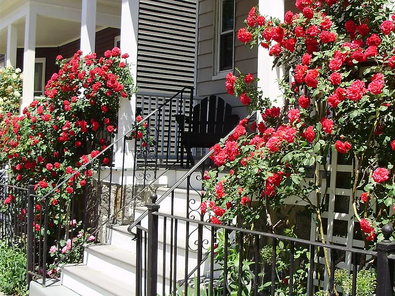 Front entrance 38 St Margaret Street