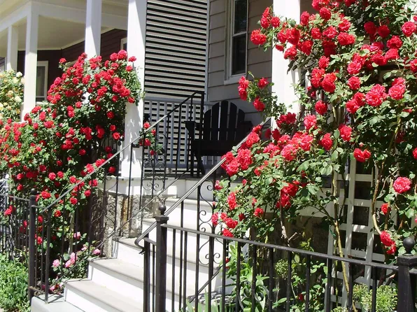 38 Saint Margaret St, Dorchester, MA 02125