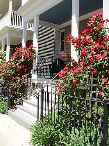 38 Saint Margaret St Photo 1
