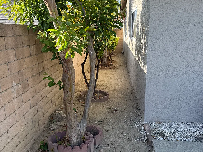 3028 E Vermillion St — Photo 49