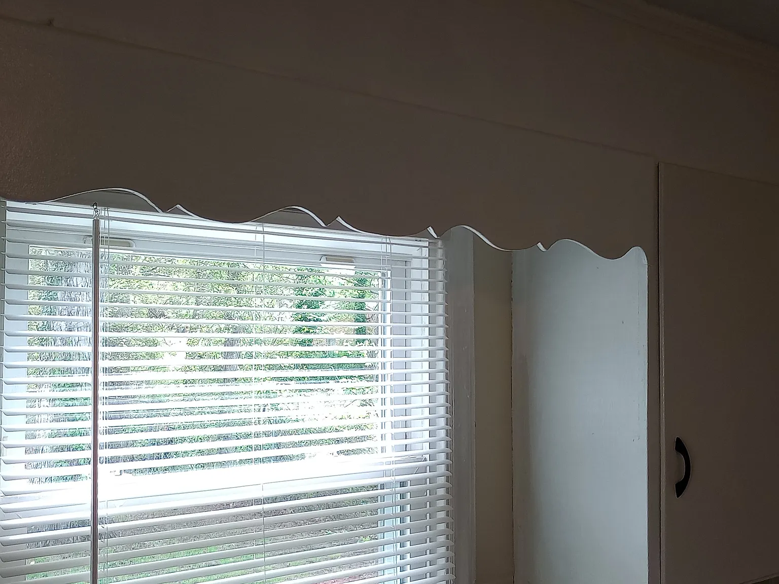 219 White St — Photo 3
