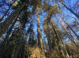 999 White St, Pt Hadlock, WA 98339