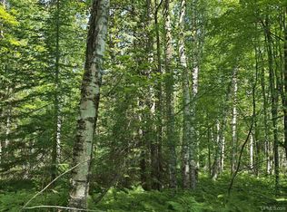 Ravenswood Rd, Lanse, MI 49946