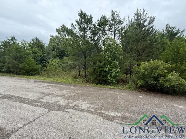 16492 Landons Way, Winona, TX 75792