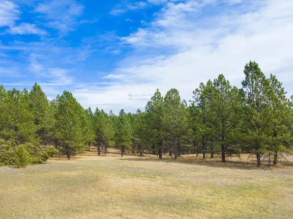 Tbd W Argyle Rd, Custer, SD 57730