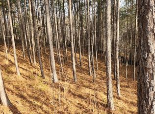 912 Whistler Ln LOT 72, Canton, GA 30114