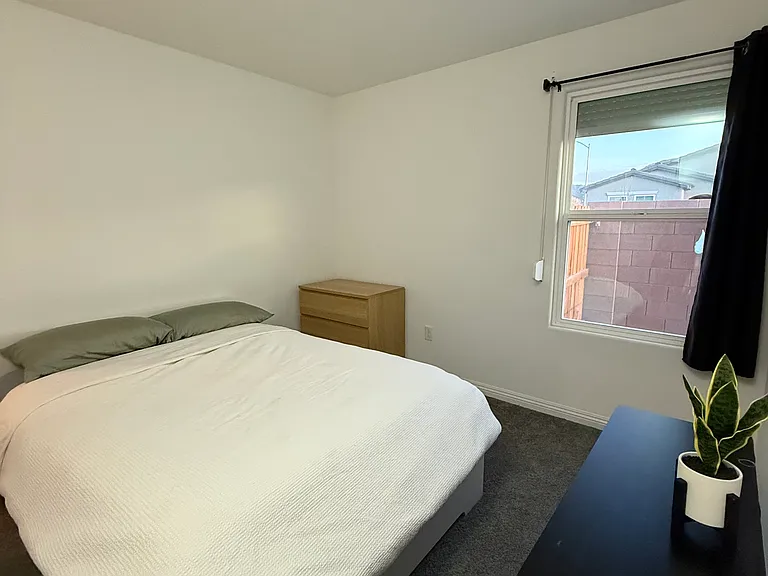 471 Desoto Falls St — Photo 5