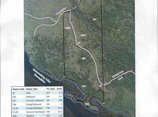 Black Fly Road Parcel, Island Falls, ME 04747