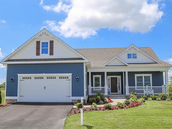 The Vandelay Hampton