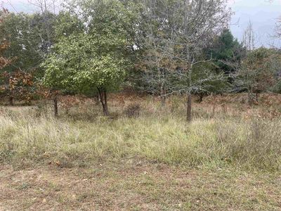Lot 3 Sandcrest Lane, Princeton, WI, 54968