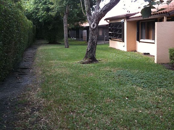 Back yard