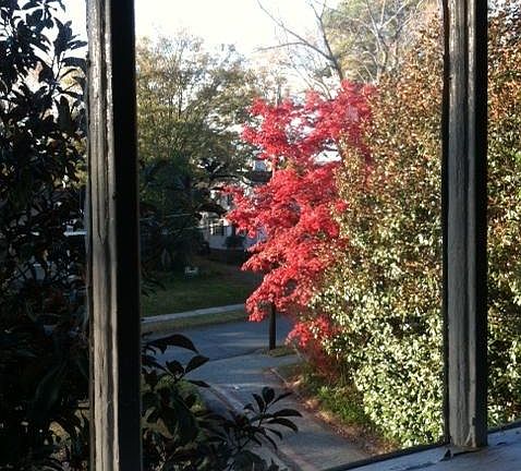 3rd image of 195 Forest Ave #Top