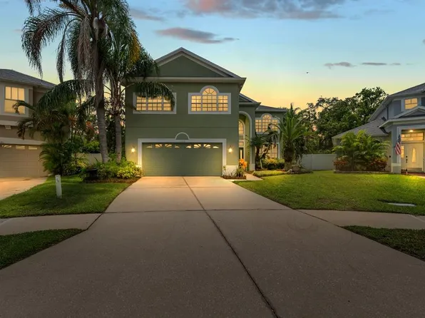 11102 AVERY OAKS DRIVE, TAMPA, FL 33625
