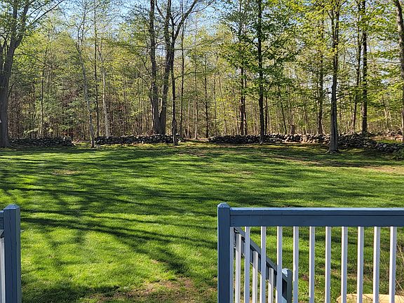 BIG BACK YARD
