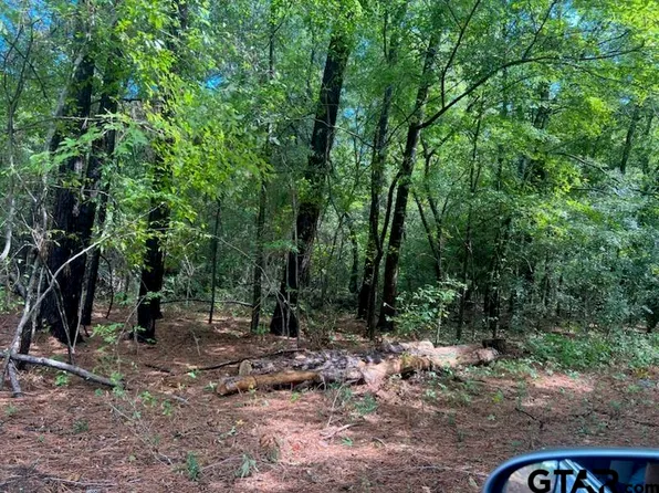 203 Fairview St, Bullard, TX 75757