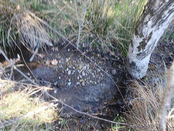 4th image of 4300 Spyrock Road