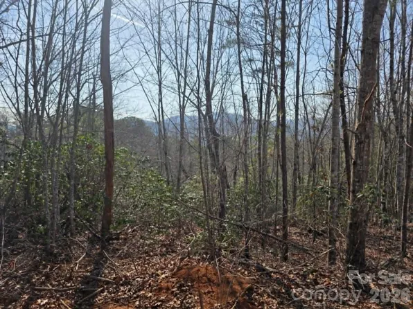 8 Kerlee Ln, Old Fort, NC 28762