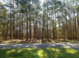 62 S Fairway Loop, Coldspring, TX 77331