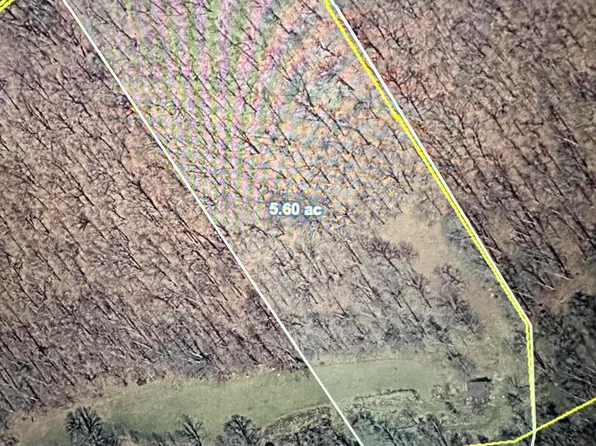 Tbd Duff Patt Hwy, Duffield, VA 24244