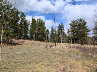 43 Spanish Bit Dr, Lake George, CO 80827