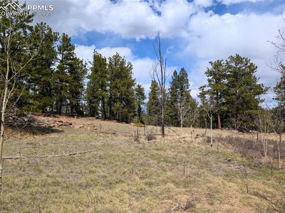 43 Spanish Bit Dr, Lake George, CO, 80827