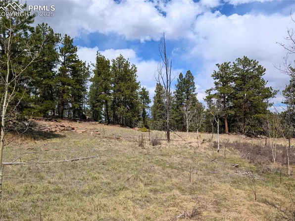 43 Spanish Bit Dr, Lake George, CO 80827