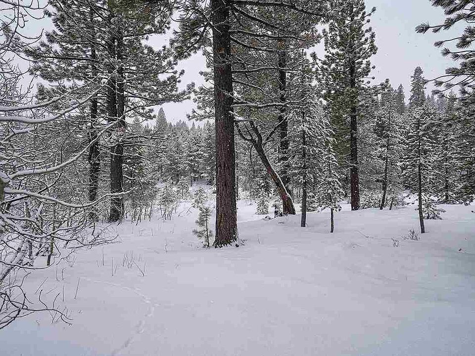 2nd image of 14903 Alder Creek Rd