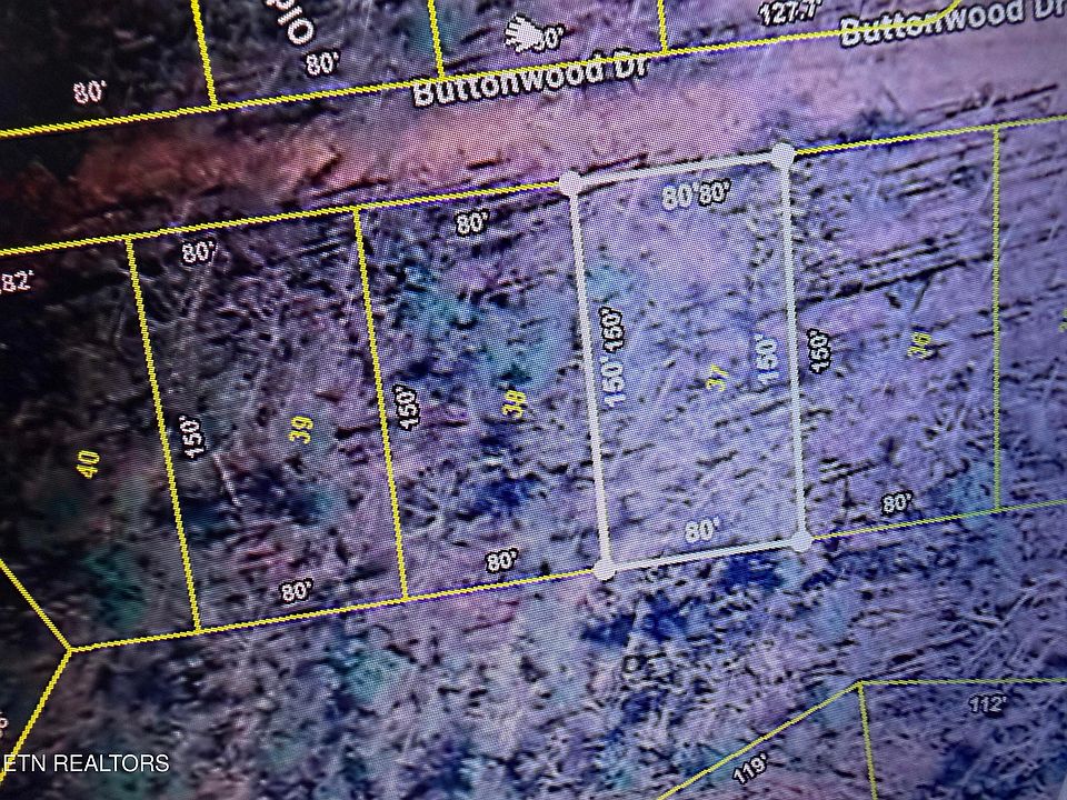 2nd image of Buttonwood Dr
