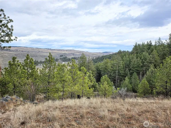 315 W Corral Drive, Oroville, WA 98844